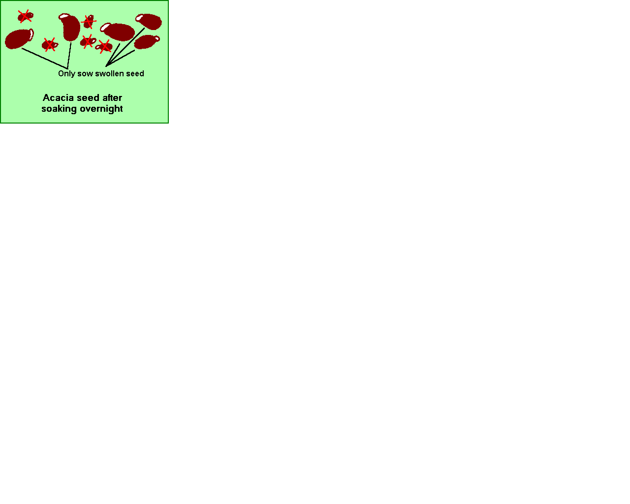 Gemination diagram