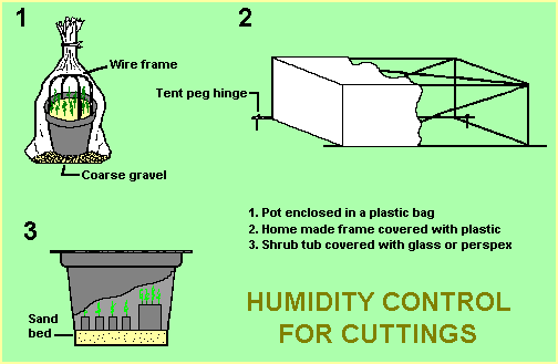 Diagram of cutting frames